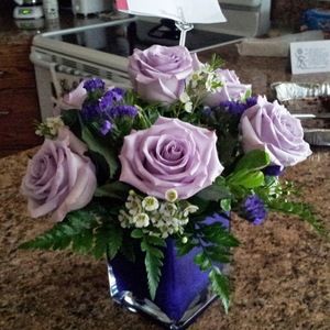 Meet your Posher, Jayne